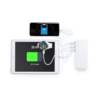 POWERBANK CON TORCIA LED